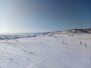 Fototapeta premium Sunny Winter Landscape in Siberia, Snowy Hills and Clear Blue Sky