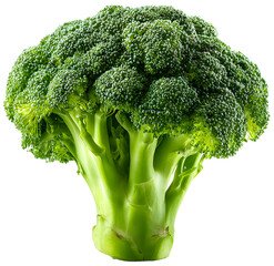 broccoli isolated background.
