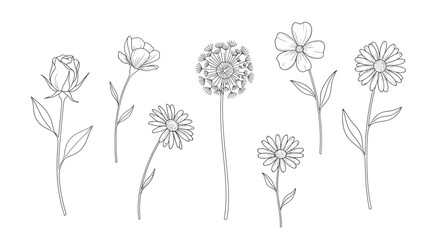 Line art illustration of various flowers including roses and daisies.