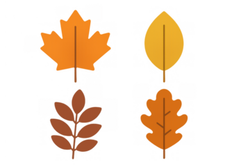 Autumn leaves vector set depicting seasonal fall foliage, minimal nature elements for decorative design, transparent background