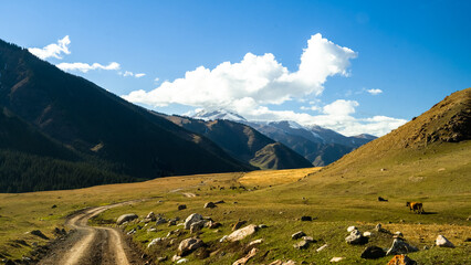 mountain peaks in the clouds. a beautiful mountain gorge. autumn in the mountains