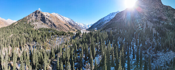 a forest in a beautiful mountain gorge. snow-capped peaks