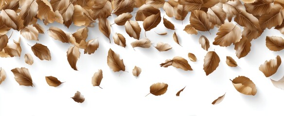 A collection of brown leaves, depicted with shadows, scattered against a white background