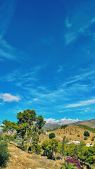 View over lush hilly landscape with trees under a blue sky with some clouds. Velez-Malaga, Malaga, Spain.
