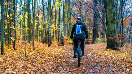 Middle-aged woman riding bicycle on path in forest in autumn. Back view	