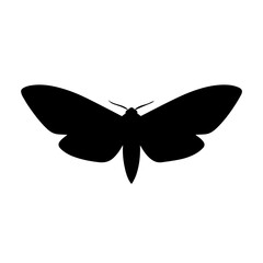 A silhouette of a moth with its wings spread wide against a white background.