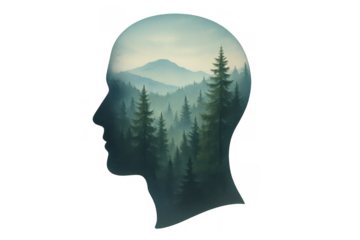 Human head silhouette with double exposure forest landscape inside, representing connection to nature and mental well-being