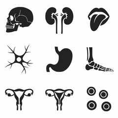 Explore the Human Body with Anatomical Silhouettes, Perfect for Medical Education and Healthcare Design, A Comprehensive Collection of Organs and Systems Offering Detailed Visuals