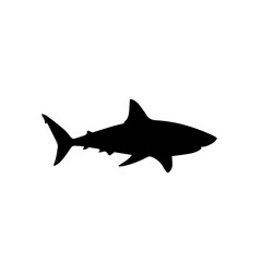 Black silhouette of a shark swimming, isolated on a white background, depicting marine life.