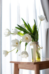 Carnations in sunlit window: Minimalist white flowers on a wooden bench, evoking peace and freshness.