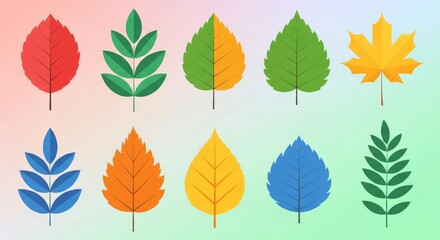 Colorful Stylized Leaves Collection