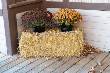 Autumn Flowers on Bale