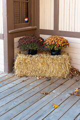 Autumn Flowers on Bale