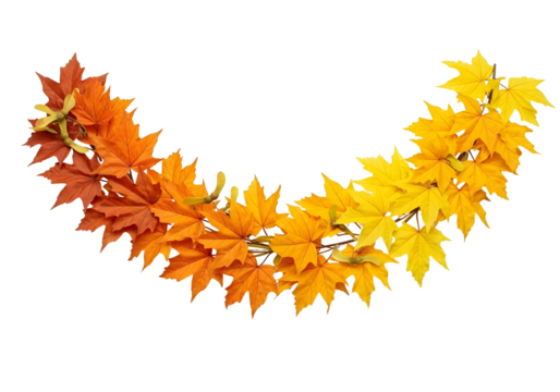 Autumn maple leaf garland in gradient colors isolated on transparent background