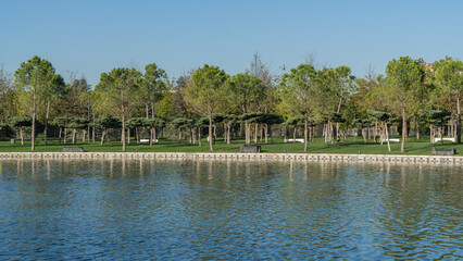Tranquil pond reflecting junipers with lush green crowns and neatly trimmed grass, with decorative stone border along water's edge. Clouds Park. Krasnodar City Park, or Galitsky Park in Krasnodar.