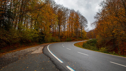 Fototapeta premium Winding road through autumn forest hues creates a serene landscape at dusk with trees in vibrant colors