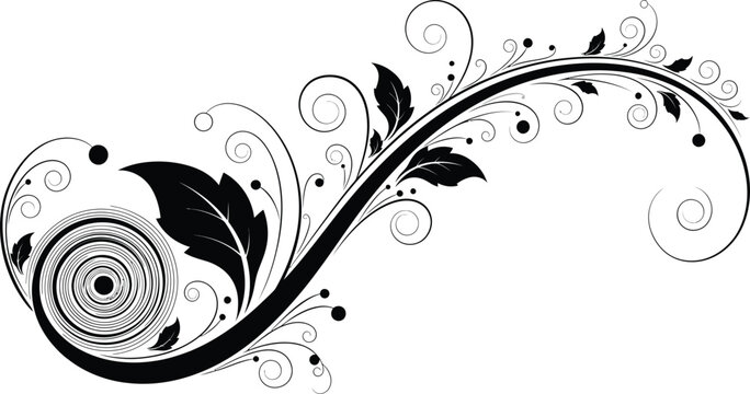 Floral vector design black and white swirl pattern vintage element art eps silhouette