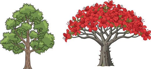 Green tree and red flowering tree, botanical contrast, nature diversity, seasonal foliage, vibrant blossoms, landscape illustration, plant comparison, artistic concept