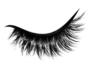 Close-up of a Single Black False Eyelash with Glittery Strands on Black Background false eyelashes makeup, Png Transparent, Isolated on White