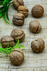 삼베 위 풀잎과 여러개의 호두 