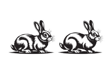 Two vintage style rabbits in black and white illustration