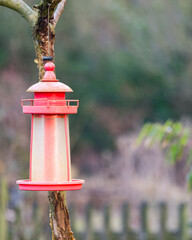 Red lighthouse bird feeder hanging from tree branch in garden