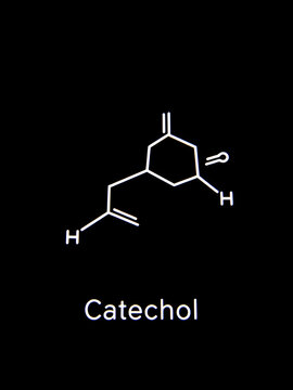 Catechol also known as pyrocatechol or 1,2 dihydroxybenzene, Molecular Structure Symbol on black background