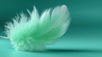 A single, delicate white feather floating. Soft mint green gradient from the top edge, blending into a pure white layout. Extremely clean, bright, and minimal design