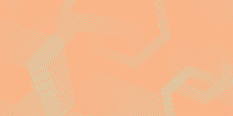 Gradient pink red patterned desktop wallpaper. Abstract vector illustration of modern lines background. Hexagon lines on yellow background. presentation design for corporate business and institution .