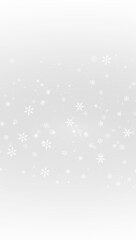 Snow , snowscape backdrops, realistic snowflakes, freezelight effect, Christmas sessions png file
