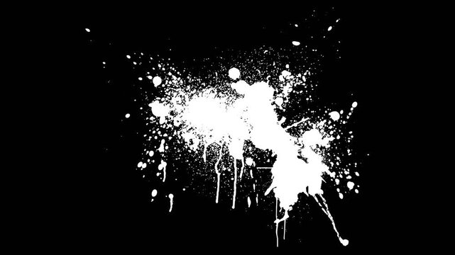 vector illustration of paint splat effect collection on alpha background