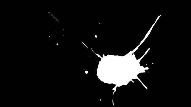 vector illustration of paint splat effect collection on alpha background