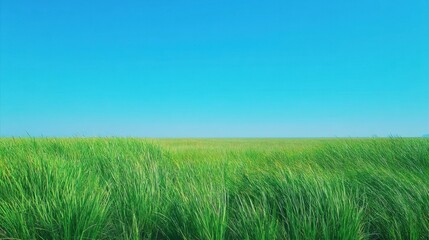 Obraz premium Lush Green Grass Under Clear Sky with Vibrant Colors in a Tranquil Landscape Perfect for Natural Scenery and Outdoor Photography Projects