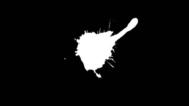 vector illustration of paint splat effect collection on alpha background