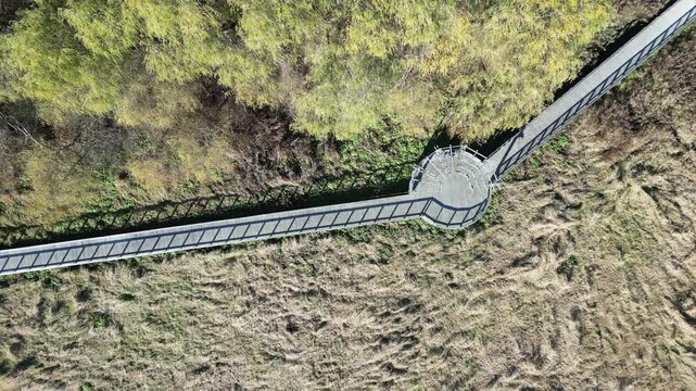 Aerial view of a wooden footbridge crossing a marshy area - Vue a&eacute;rienne d'une passerelle en bois qui traverse une zone mar&eacute;cageuse
