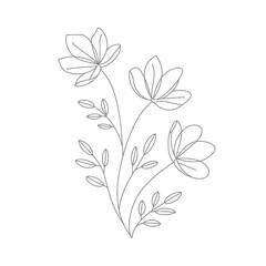 Delicate outline drawing of three blooming flowers and leaves
