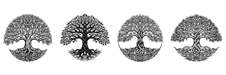A black and white vector illustration depicting a tree.