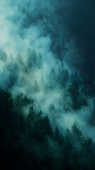 Mystical Forest in Fog: An enchanting view of tall, evergreen trees shrouded in a thick, ethereal fog. the scene evokes a sense of mystery and solitude.