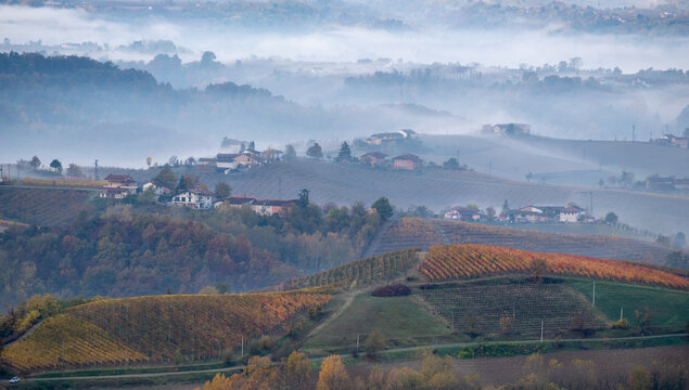 vista of hills and vineyards, photographed in the early morning mist in autumn near Monforte d'Alba, part of the UNESCO World Heritage listed Langhe region in Piedmont, northern Italy. 
