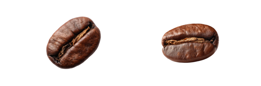 Coffee beans close-up transparent background food photography isolated natural concept