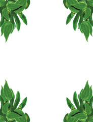 frame of green leaves in every four corner isolated