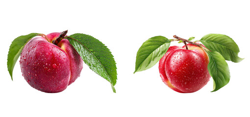 Fresh nectarines with leaves glistening with water droplets on transparent background