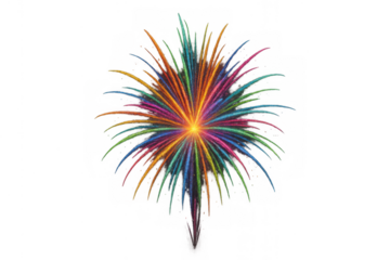 Colorful fireworks exploding, creating a vibrant starburst light effect, perfect for celebration and holiday designs