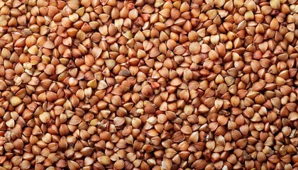 close up of raw buckwheat groats showing texture and color texture background food texture