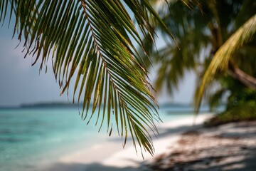 Fototapeta premium Close-up palm leaf over a pristine tropical beach in the Maldives
