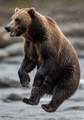 Dynamic grizzly bear leaping through water, showcasing power and agility, capturing a moment of wild nature's raw beauty
