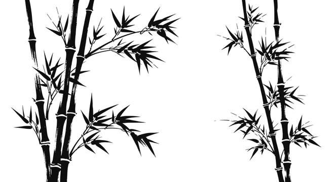 Traditional Japanese sumi-e ink wash painting of black bamboo stalks and leaves isolated on a clean white background design.