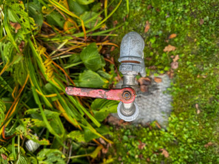 Old outdoor metal water tap with red handle on mossy green ground – garden faucet, plumbing detail