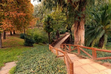 Picturesque wooden path through a vibrant park with autumn trees and lush greenery in the afternoon light