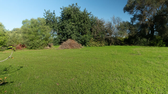 O sil&ecirc;ncio das &aacute;rvores secas numa paisagem campestre sob c&eacute;u azul outonal
